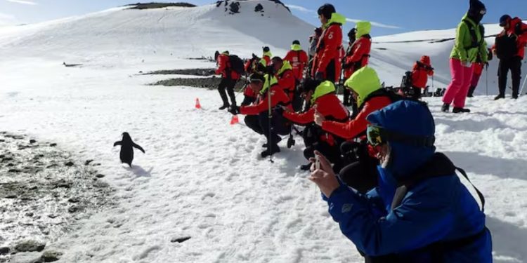 Científicos alertan por hallazgo de pez dragón bajo un iceberg en la Antártida