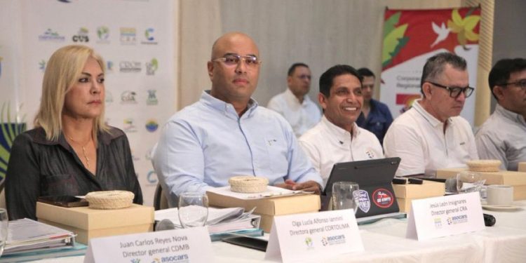 Jesús León Insignares es elegido vicepresidente de Asocars