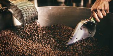 Producción de café en Colombia alcanza cifra récord en 29 años