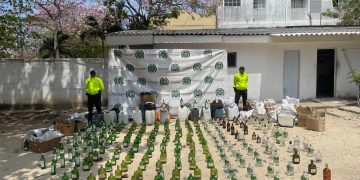 Policía inacutó licor adulterado en Barranquilla y evitan su distribución en el Carnaval