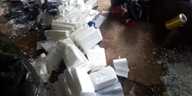 Megaoperación en el sur del país