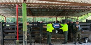 Bienes avaluados en $30 mil millones del ‘Clan del Golfo’ a extinción de dominio: 14 en Barranquilla y Antioquia