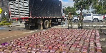 Incautan más de una tonelada de marihuana oculta en camión de papa en Cauca