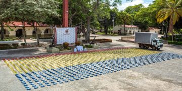 Incautan cerca de dos toneladas de marihuana en el sur del país que pretendían sacar al Perú y Brasil