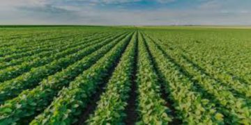 Tecnificación deficiente limita desarrollo agrícola en Colombia