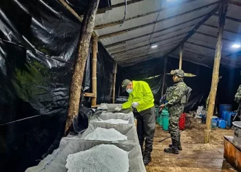 Ejército incauta más de 2.572 kilos de clorhidrato de cocaína en un laboratorio del Clan del Golfo en Antioquia