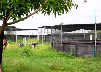 Air-e Intervenida detectó nuevos casos de hurto de energía en dos comercios de Barranquilla y una finca de Polonuevo