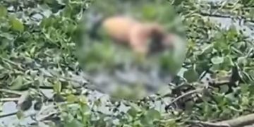 Hallan cadáver en avanzado estado de descomposición en el Malecón del Río en Barranquilla