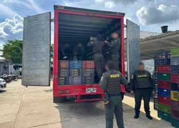 Incautan en Córdoba 260 mil dosis de cocaína ocultas en un furgón