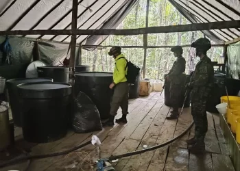 Ejército Nacional ubica en la región del Catatumbo un complejo del ELN para producir cocaína avaluado en más de 7000 millones de pesos