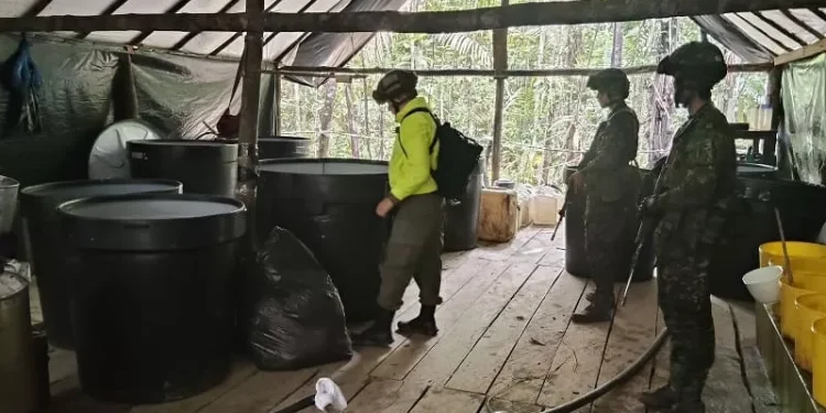Ejército Nacional ubica en la región del Catatumbo un complejo del ELN para producir cocaína avaluado en más de 7000 millones de pesos