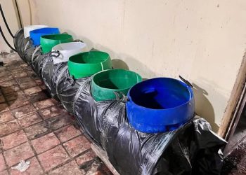 Golpe al ELN en Norte de Santander: Ejército y Policía desmantelan laboratorios de droga