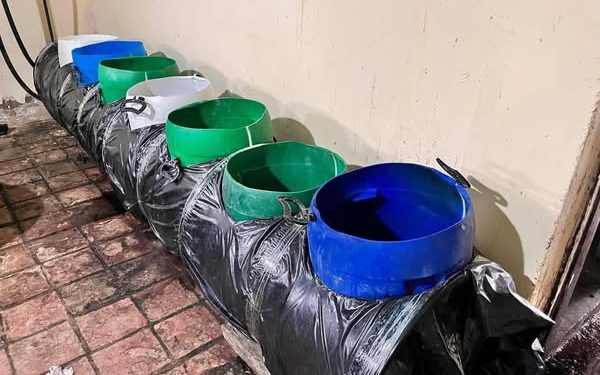 Golpe al ELN en Norte de Santander: Ejército y Policía desmantelan laboratorios de droga