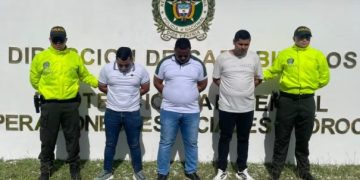 Judicializados cinco policías que estarían involucrados en red de explotación ilegal de madera en Bolívar