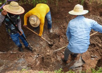 Hallazgos forenses en hacienda Bethania de El Copey por posible desaparición forzada