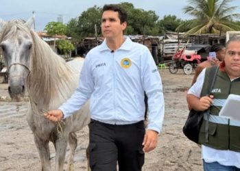 Caballo cochero agredido en Cartagena fue rescatado por las autoridades