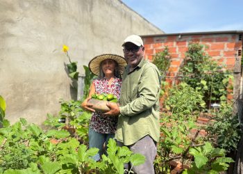 Distrito fortalece tejido social a través de la construcción de huertas comunitarias