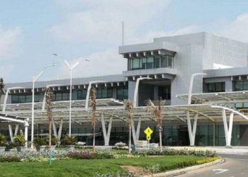 Enjambre de abejas retrasó vuelo de Spirit hacia Miami en el aeropuerto de Barranquilla