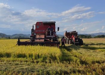 “El gobierno y la gran industria quieren acabar con el arroz colombiano”: arroceros anuncian paro nacional desde el 14 de julio
