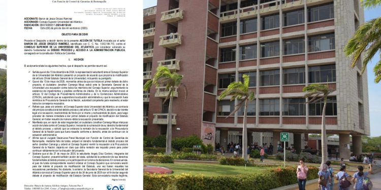 Juzgado declara improcedente tutela contra el Consejo Superior de la Universidad del Atlántico