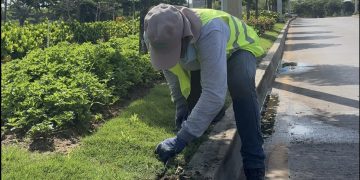 Más de 2.000 metros cuadrados reverdecen en el corredor portuario