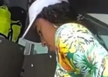 Arrestan a colombiana en Florida por llevar a su perro a la playa: policía contactó a migración para deportarla
