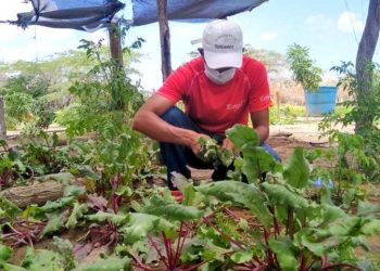 Agroecología: clave para garantizar el acceso a alimentos en La Guajira