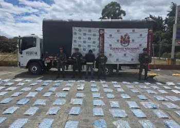 En el Cauca, Ejército y Policía incautan más de una tonelada de marihuana tipo exportación camuflada en tubos
