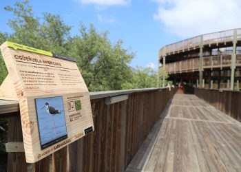 Ecoparque Ciénaga de Mallorquín presenta su primera galería educativa de aves