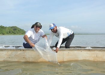 Plan + Pescao 2025 repoblará el Atlántico con 1,5 millones de bocachicos en el embalse del Guájaro
