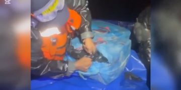 Incautan 2,5 toneladas de cocaína en el mar Caribe valoradas en más de 118 millones de dólares