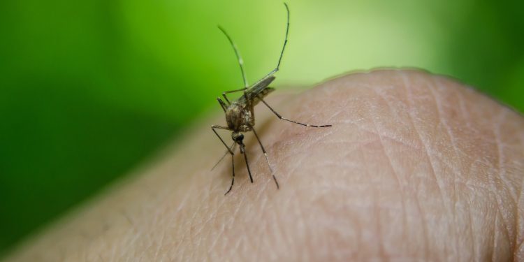 Soledad registra aumento de infecciones respiratorias y alerta por dengue
