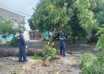 Emergencias en Córdoba por fuertes lluvias asociadas al coletazo del huracán Erin