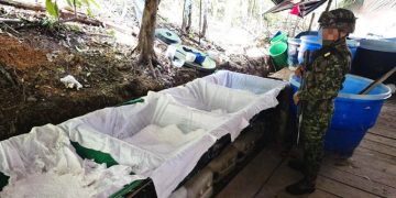 ¡Narcolaboratorio al suelo! Ejército destruye más de media tonelada de cocaína en Puerto Rico, Meta