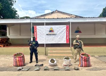 Ejército y Policía incautan media tonelada de marihuana en La Guajira