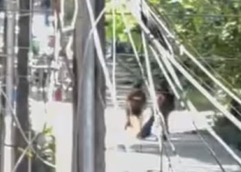 Ataque armado en Saravena deja dos policías muertos y varios civiles heridos