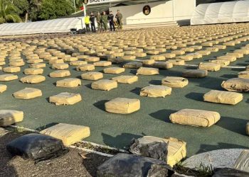 Armada incauta 3,5 toneladas de marihuana en el río Putumayo, cerca de la frontera con Perú