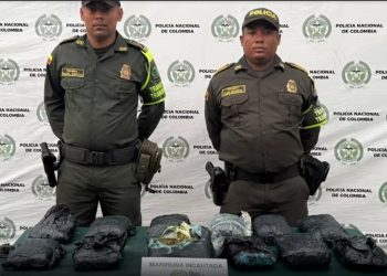 Incautan 12 kilos de marihuana en vía hacia Cartagena