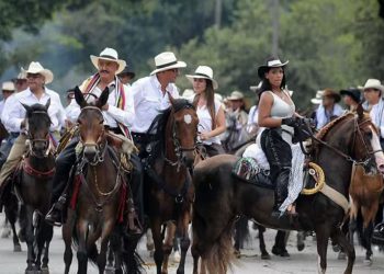Corte Constitucional aclara: cabalgatas no estarán prohibidas, pero sí se mantienen restricciones a corridas y otros espectáculos con animales