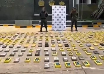 Incautan 299 kilos de cocaína camuflados en cargamento de banano en Cartagena