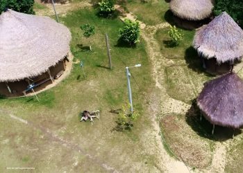 Procuraduría insta a Gobernación de Guainía a cumplir compromiso de conformar la Mesa de Coordinación con los Pueblos Indígenas