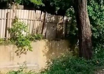 Hallan sin vida a adolescente arrastrado por un arroyo en Soledad