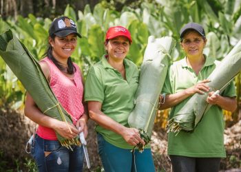 El programa Mujer con Propiedad llega a Barranquilla con jornada gratuita de asesorías jurídicas