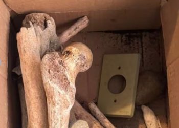 Impactante hallazgo de doce cráneos y otros huesos humanos dentro de un apartamento en São Paulo
