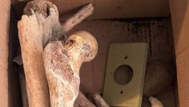 Impactante hallazgo de doce cráneos y otros huesos humanos dentro de un apartamento en São Paulo