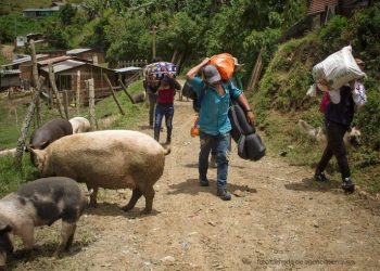 Procuraduría alerta por crisis humanitaria en el norte de Antioquia