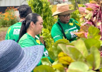 Las huertas en Barranquilla siguen dando frutos para la seguridad alimentaria