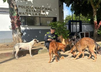 El Teniente Rivera: cuando servir a la patria significa estar lejos de lo que más ama