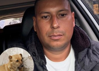 Rechazo nacional por caso de maltrato animal en Antioquia desata búsqueda del agresor