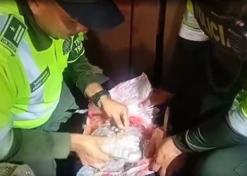 Incautan 24 kilos de marihuana enviados como encomienda hacia Barranquilla